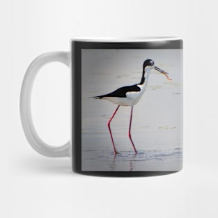 Black-necked stilt Mug